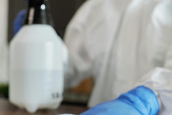 pexels-matilda-wormwood-4099266